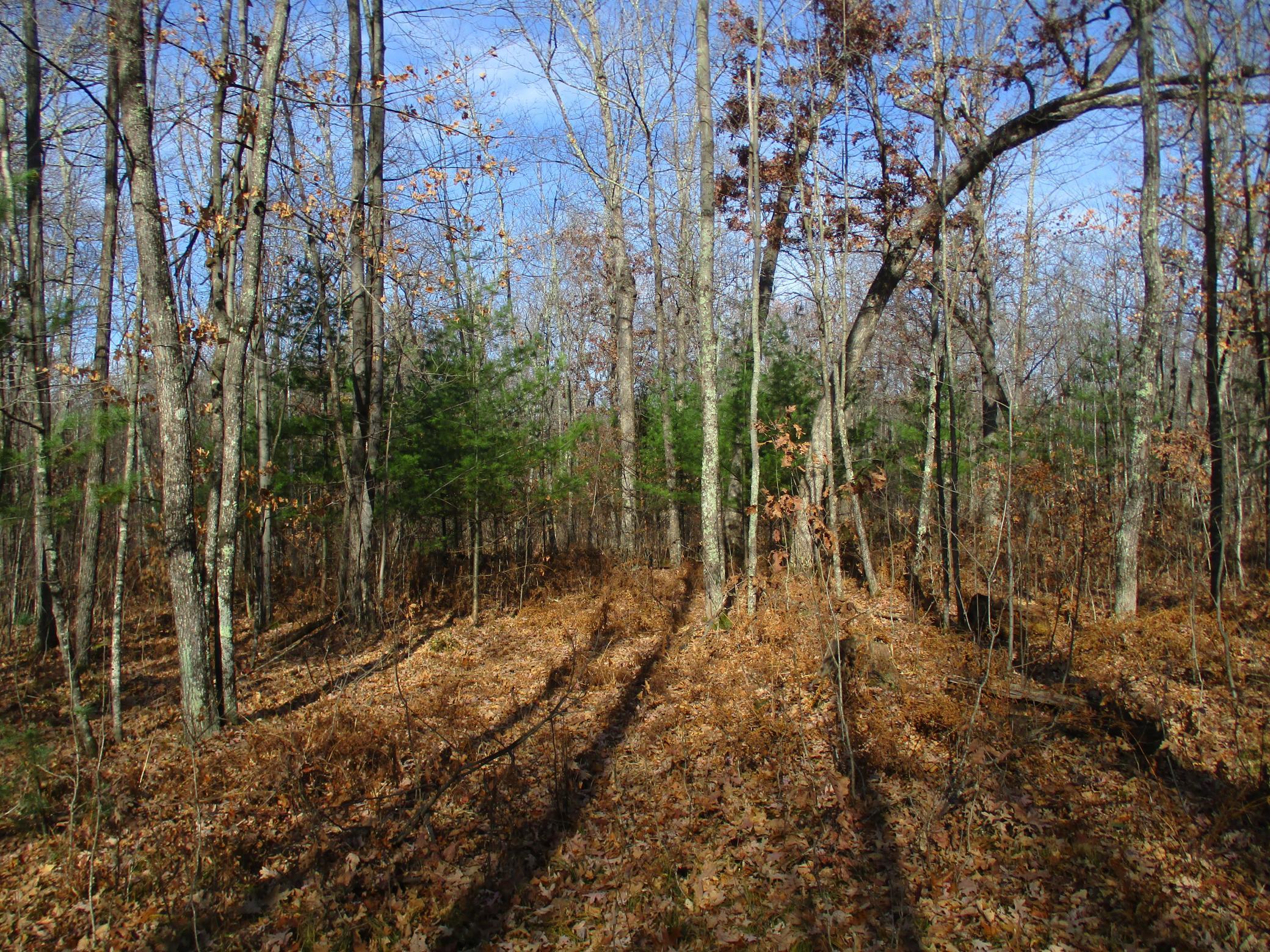 0 Say Hi Road Springbrook, WI 54875 - Photo 27 of 27