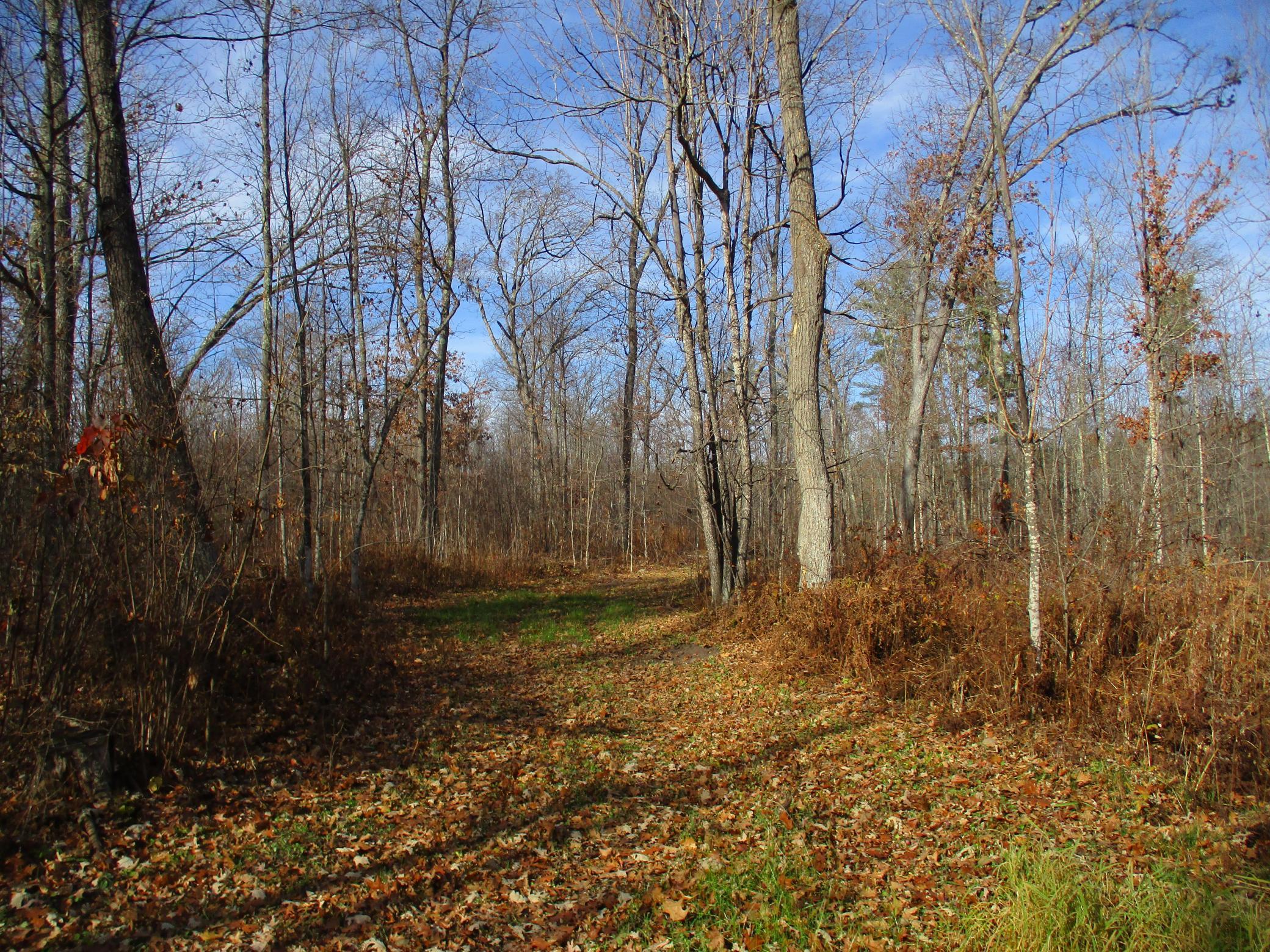 0 Say Hi Road Springbrook, WI 54875 - Photo 10 of 27
