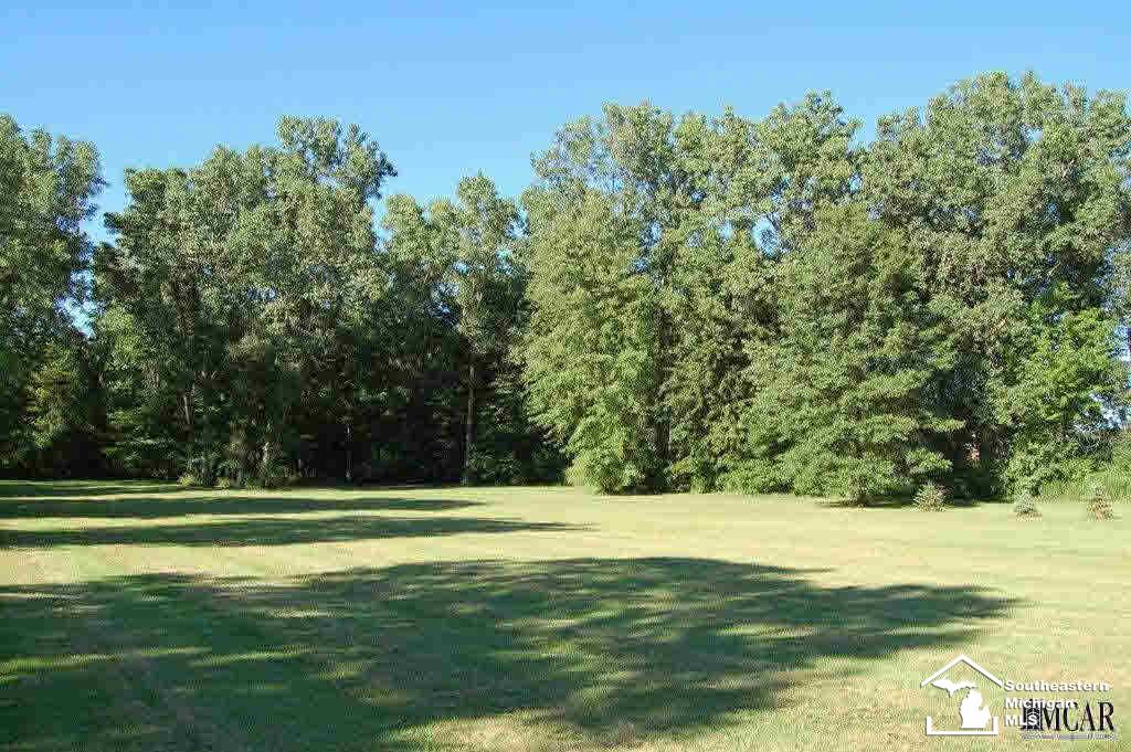 4210 Samaria Road Temperance, MI 48182 - Photo 10 of 21 21201391-9.JPG