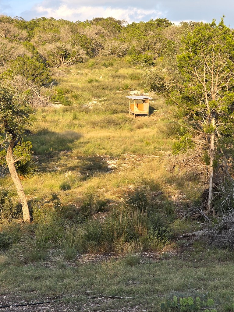2043 Sd 45670 Rocksprings, TX 78880 - Photo 20 of 44