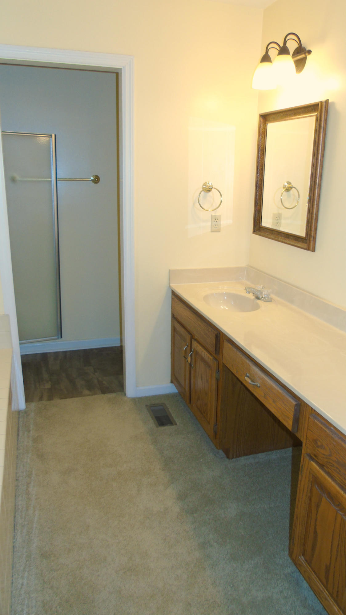 95 Cummings Road Ringgold, GA 30736 - Photo 11 of 28 Main bedroom bath