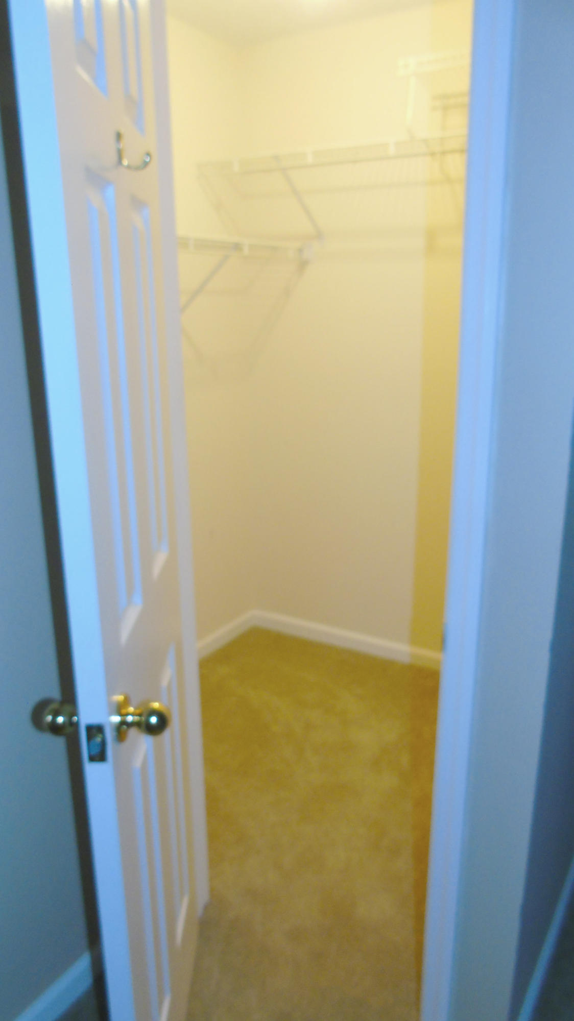 95 Cummings Road Ringgold, GA 30736 - Photo 23 of 28 Walk-in closet in master bedroom