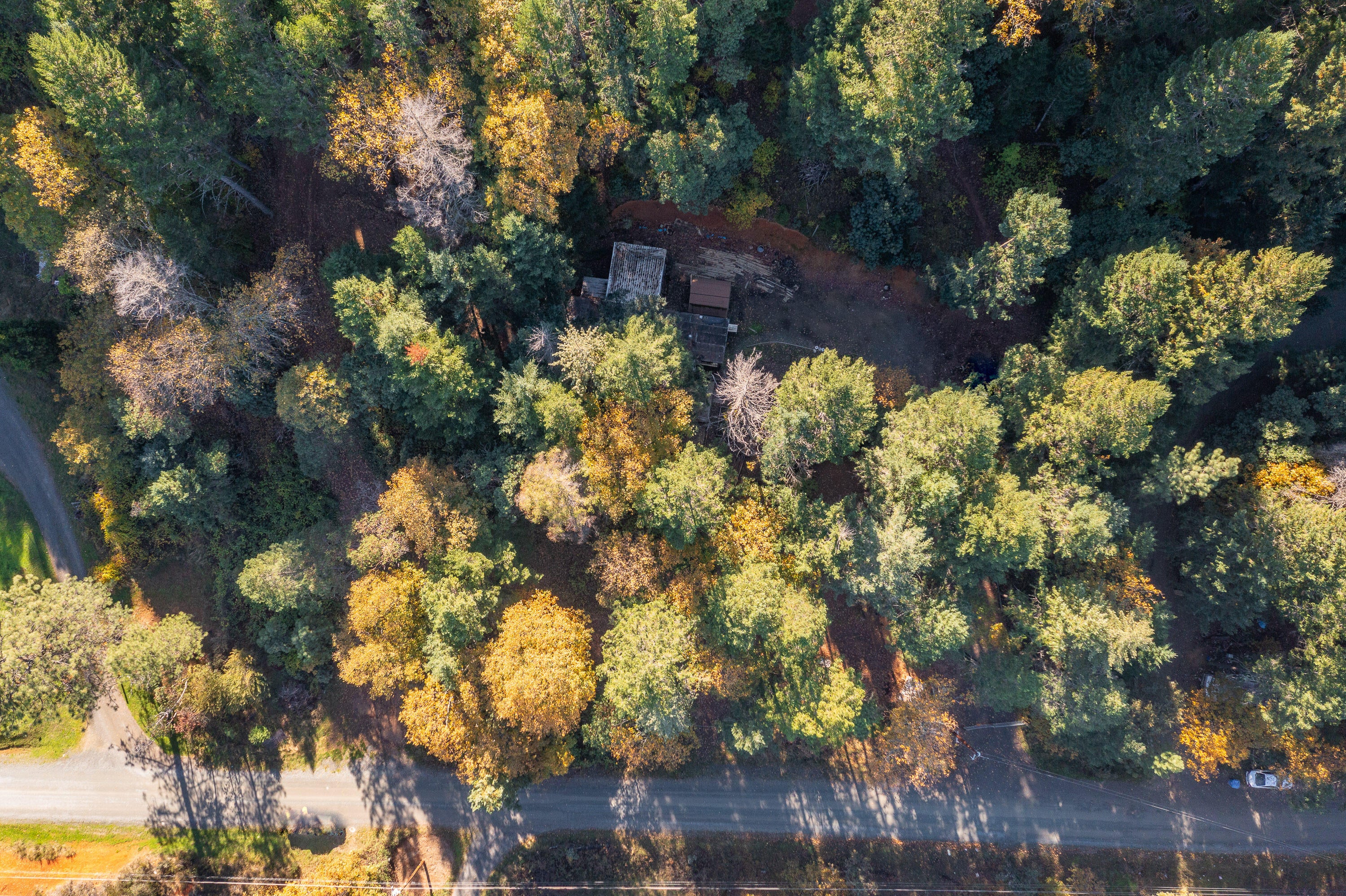 617 Glendon Road Cave Junction, OR 97523 - Photo 23 of 33 DRONE