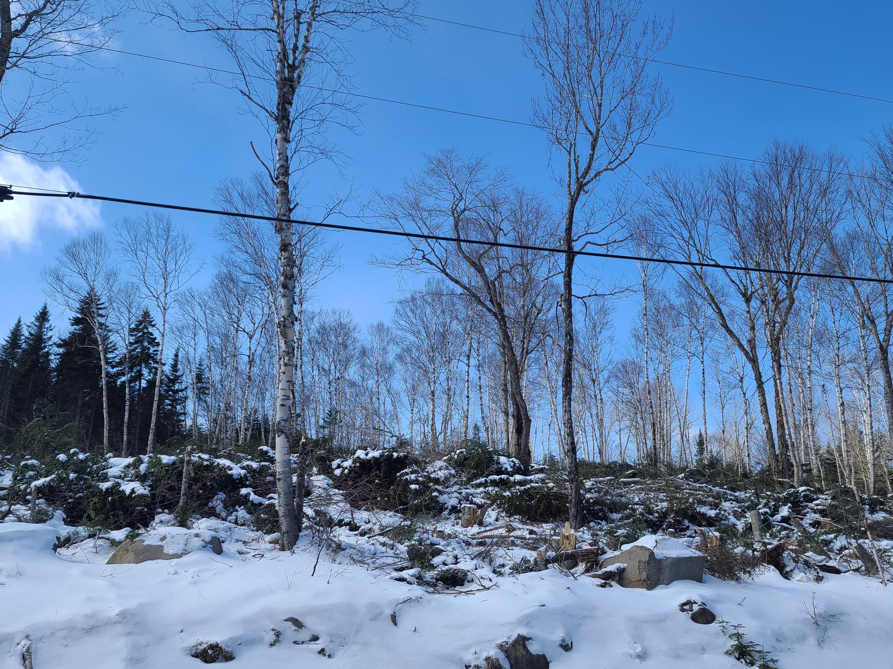 Lot 11 Loon Lake Road Rangeley, ME 04970 - Photo 12 of 16 3
