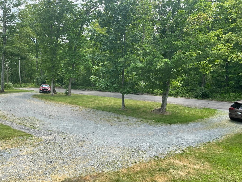 118 Snowburg Road Southport, NY 14871 - Photo 40 of 50 Circular driveway