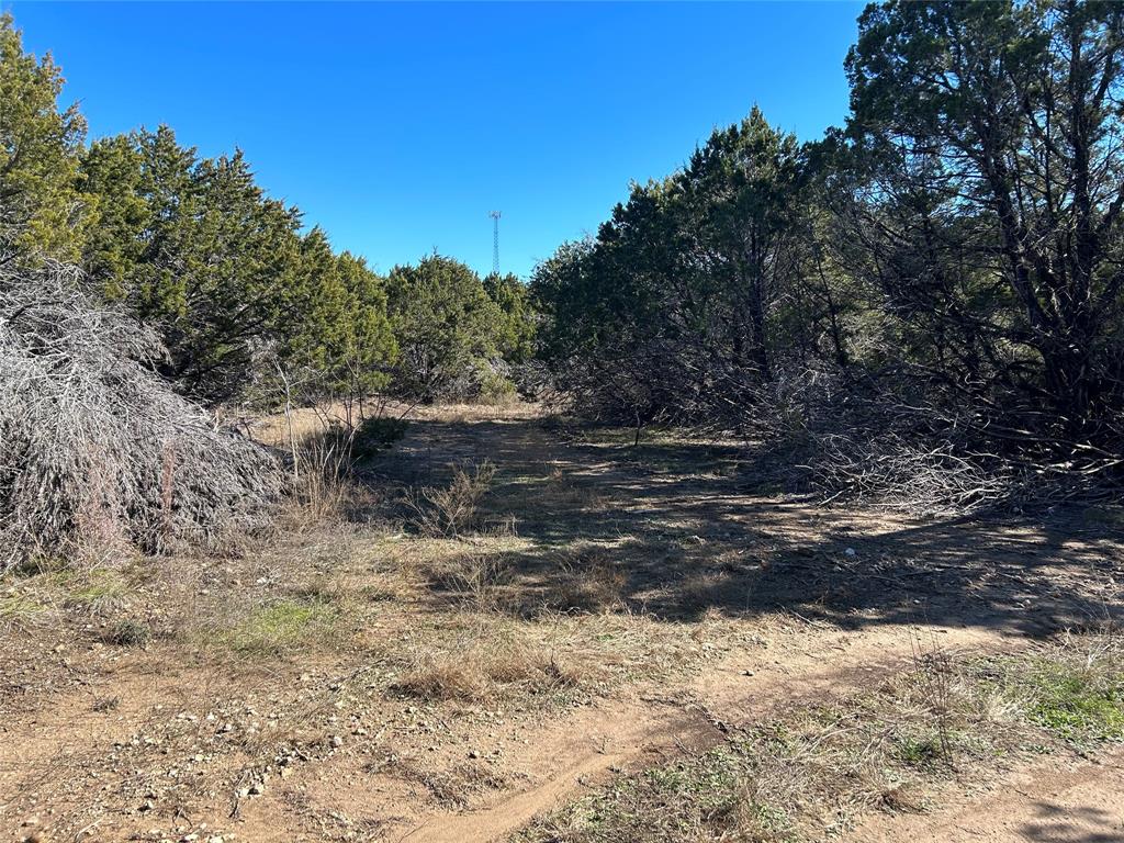 330 Fort Graham Whitney, TX 76692 - Photo 6 of 12