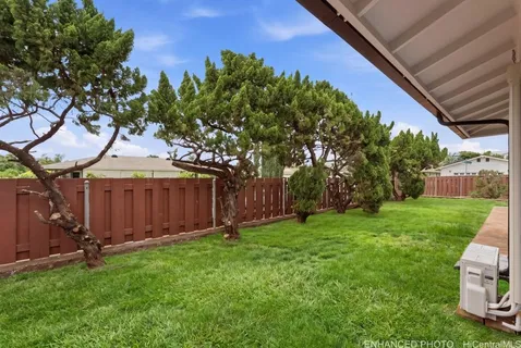 a view of a backyard with potted plants and a large tree