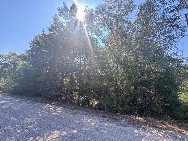 a view of a back yard