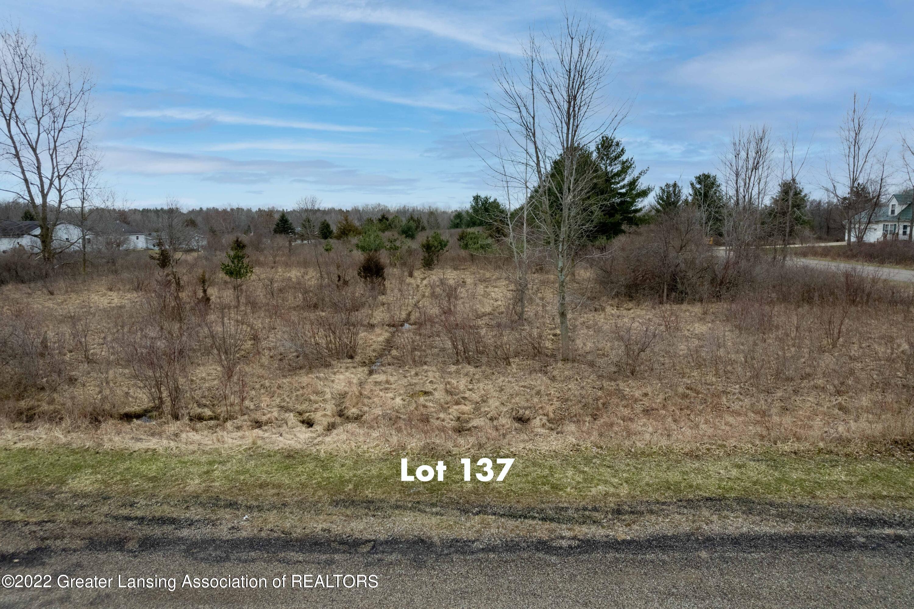 Lot 137
