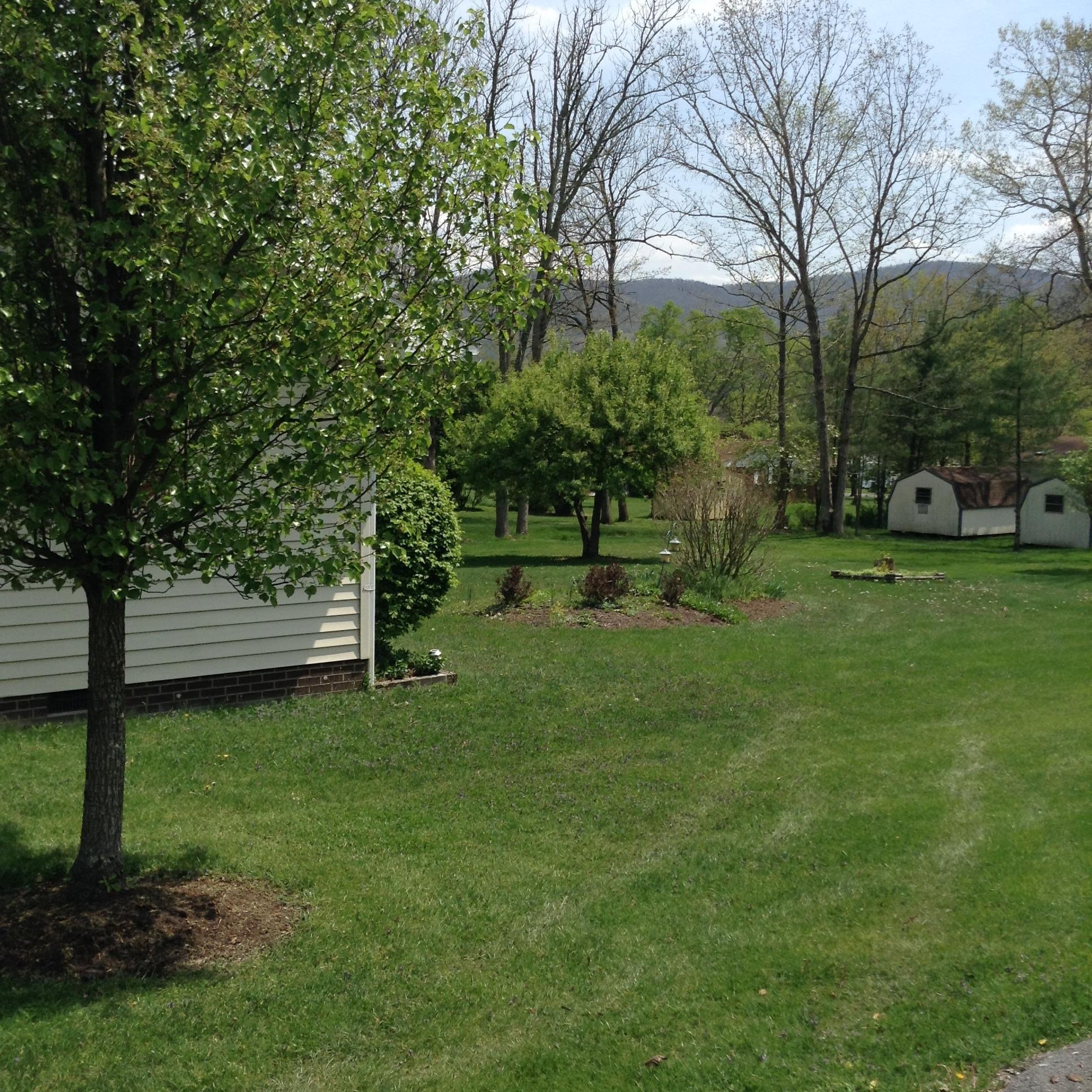 110 Rowan Road White Sulphur Springs, WV 24986 - Photo 10 of 12 Gallery Image 10