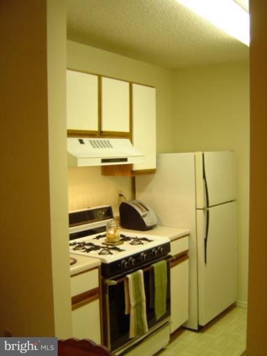 21001 Timber Ridge Terrace, Unit 102 Ashburn, VA 20147 - Photo 11 of 17 Kitchen