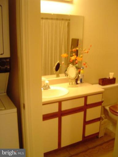 21001 Timber Ridge Terrace, Unit 102 Ashburn, VA 20147 - Photo 6 of 17 Master Bath