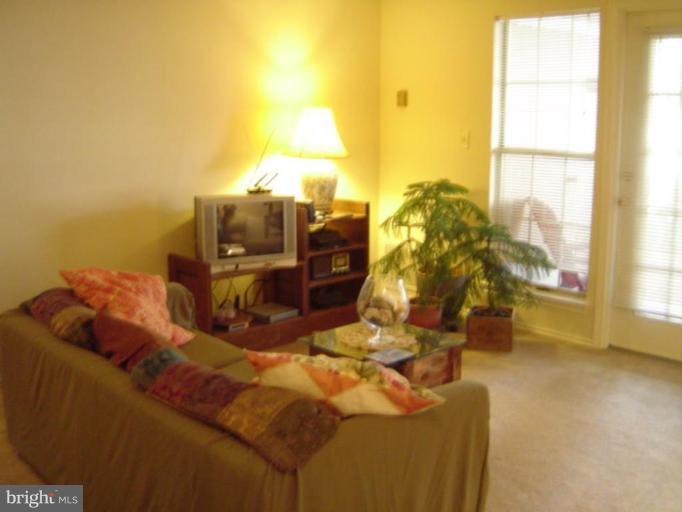 21001 Timber Ridge Terrace, Unit 102 Ashburn, VA 20147 - Photo 8 of 17 Living Room #2