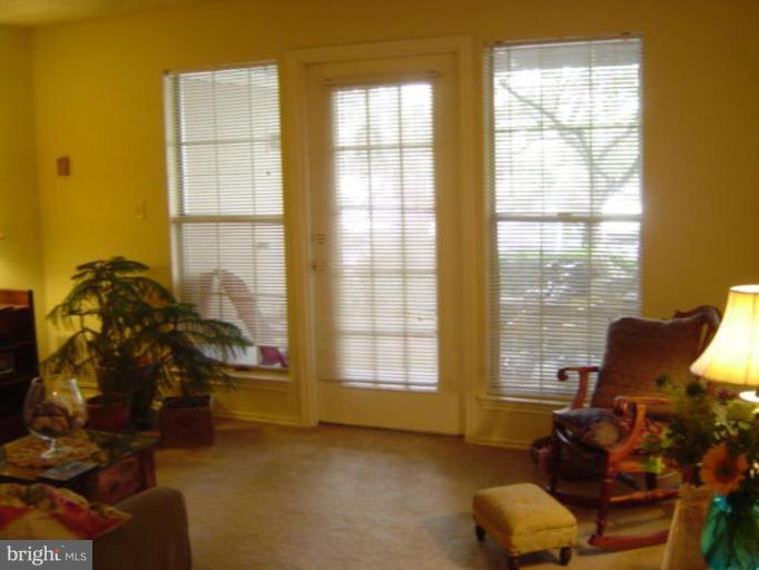 21001 Timber Ridge Terrace, Unit 102 Ashburn, VA 20147 - Photo 9 of 17 Living Room #3
