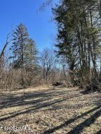 226-228 Old Rte 45 Milton, PA 17847 - Photo 1 of 2