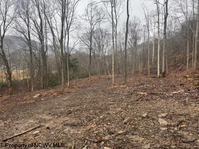 Tbd Irontown Road Independence, WV 26374 - Photo 27 of 30 Gallery Image 27