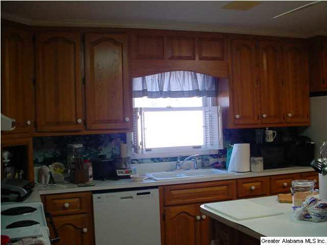 465 Mayfield Road Brent, AL 35034 - Photo 10 of 21