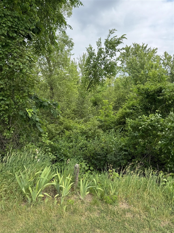 818 Raisin River Road Three Rivers, MI 49093 - Photo 25 of 26