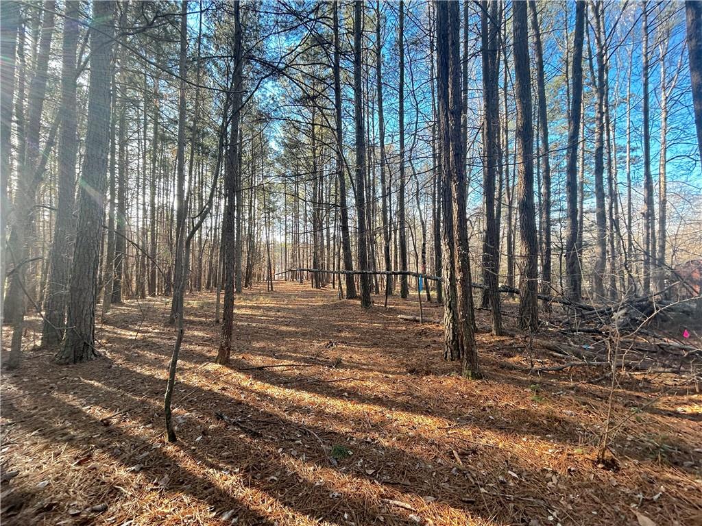 0 Old Stilesboro Road Northwest Acworth, GA 30101 - Photo 5 of 9