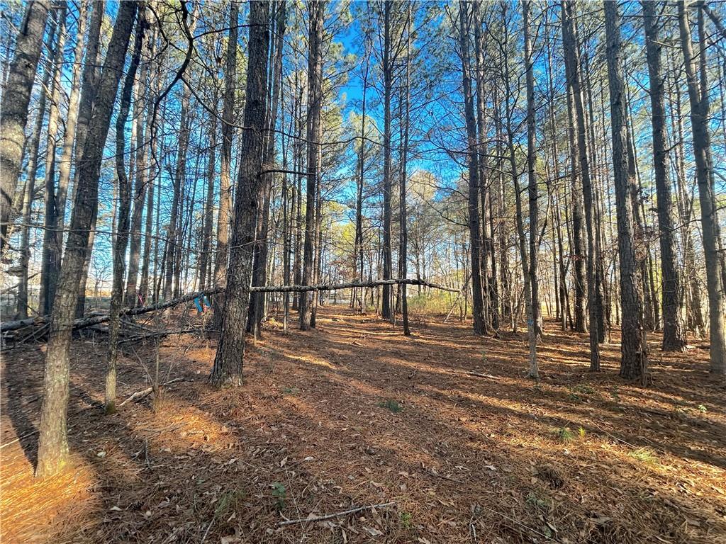 0 Old Stilesboro Road Northwest Acworth, GA 30101 - Photo 7 of 9