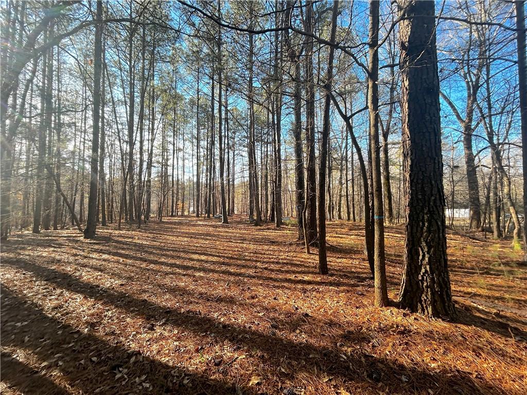 0 Old Stilesboro Road Northwest Acworth, GA 30101 - Photo 8 of 9