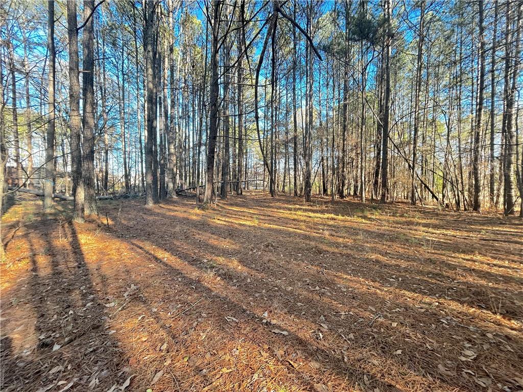 0 Old Stilesboro Road Northwest Acworth, GA 30101 - Photo 9 of 9