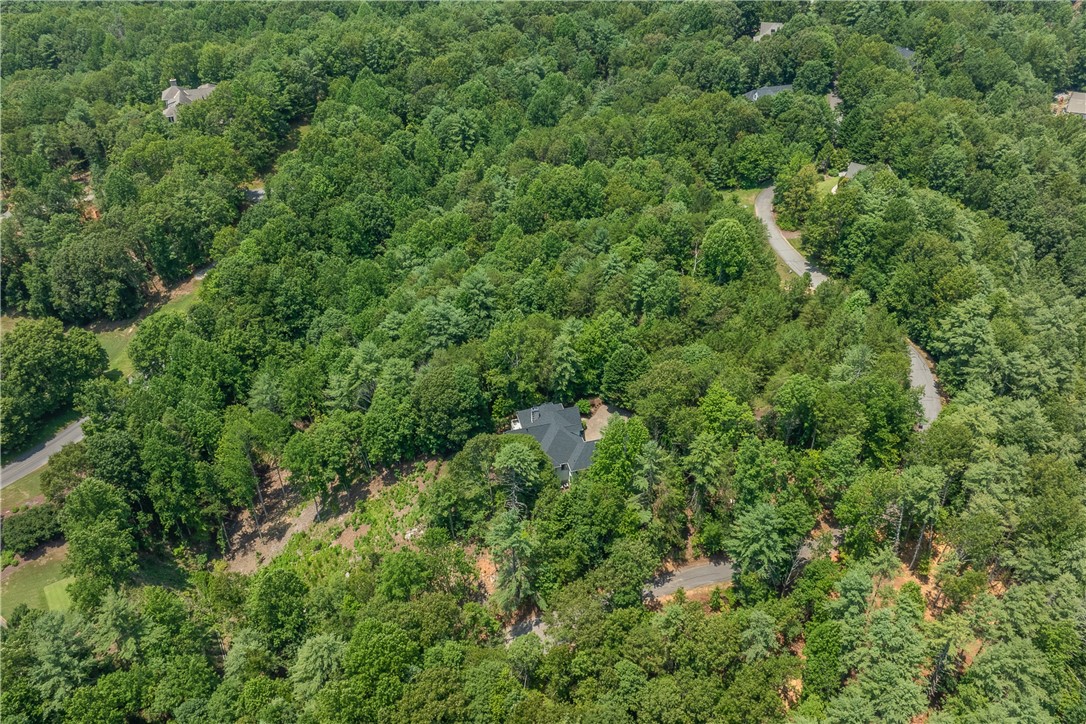 120 Links View Court Sunset, SC 29685 - Photo 47 of 50