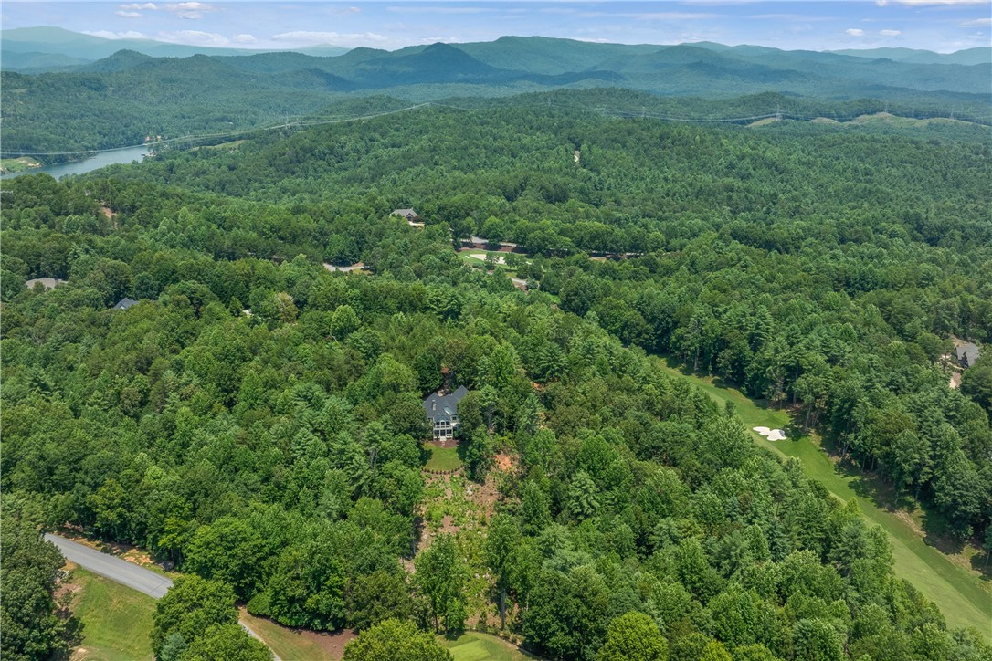 120 Links View Court Sunset, SC 29685 - Photo 48 of 50