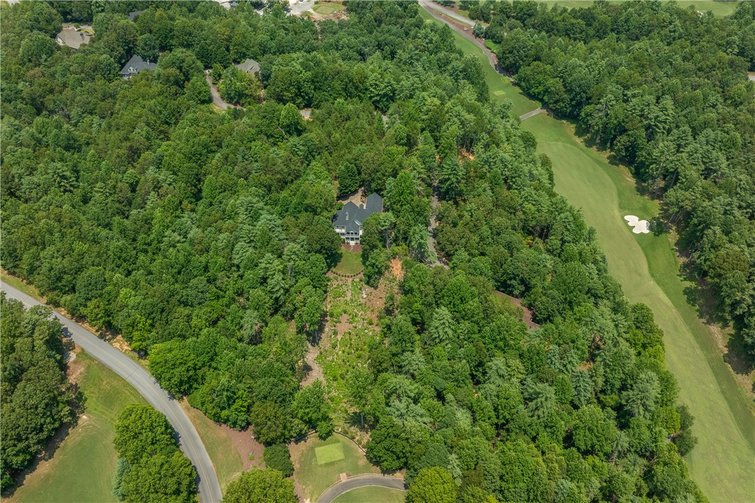 120 Links View Court Sunset, SC 29685 - Photo 49 of 50