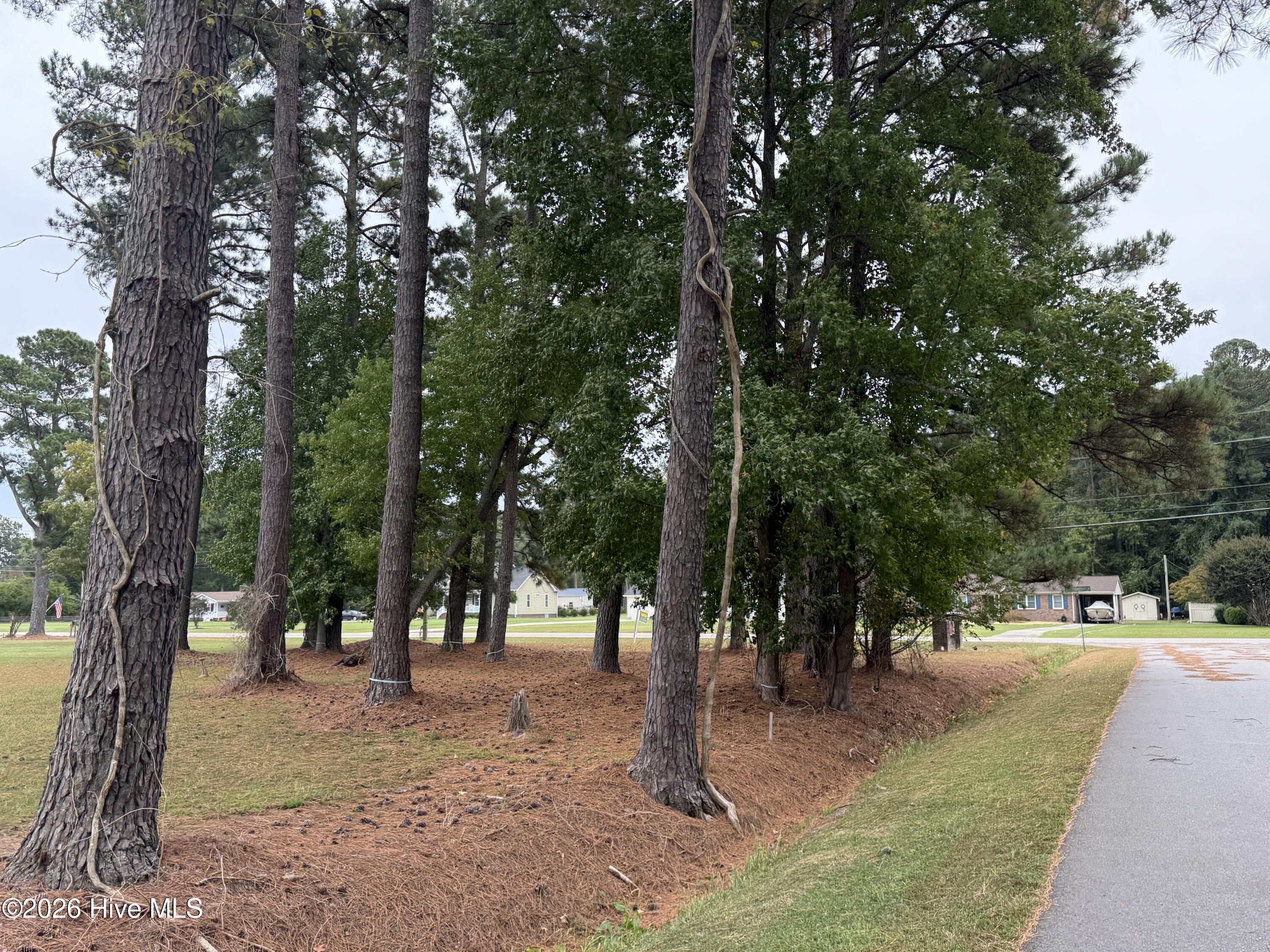 919 Soundside Road Edenton, NC 27932 - Photo 8 of 10 IMG_3411