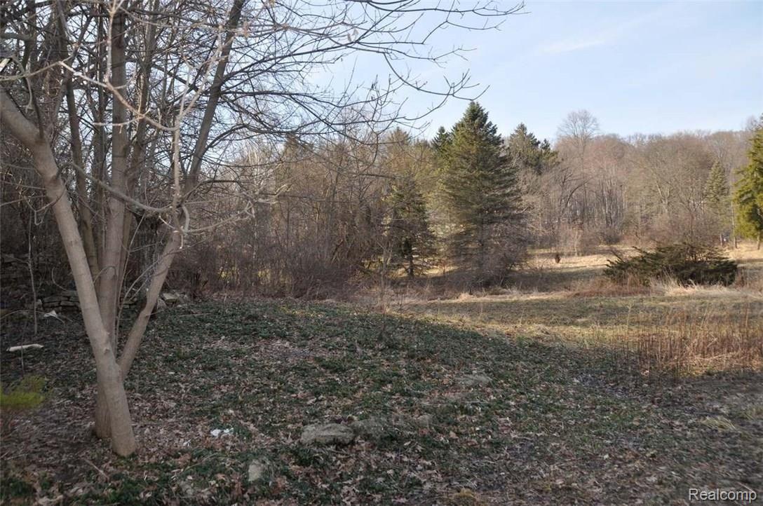 36391 Howard Road Farmington, MI 48331 - Photo 8 of 17 7.jpg
