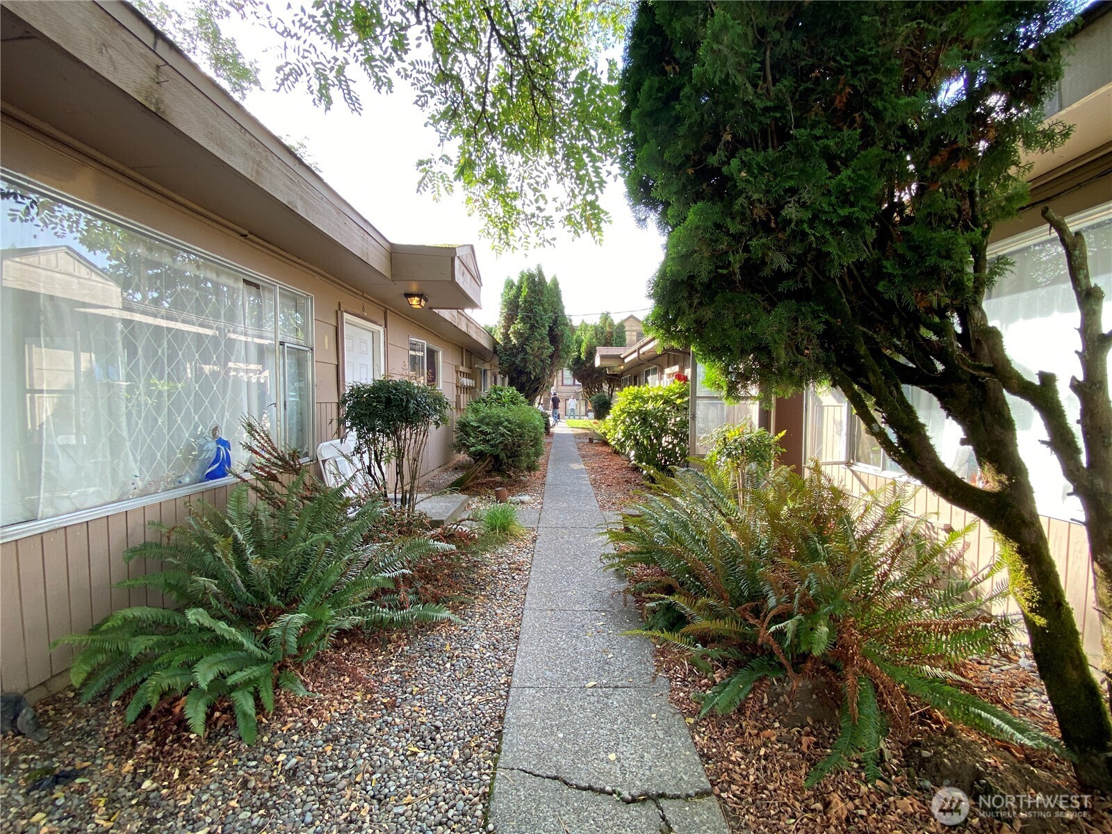 3532 Mary Elder Road Northeast Olympia, WA 98506 - Photo 3 of 16 a backyard of a house with a garden