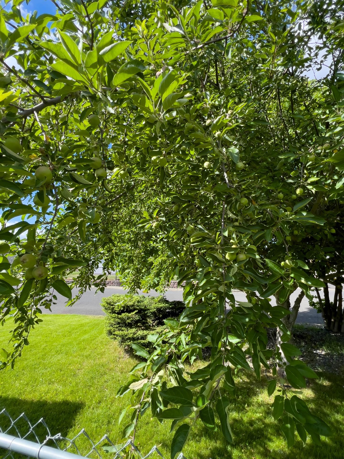 3306 East 4th Court Mead, WA 99021 - Photo 27 of 42