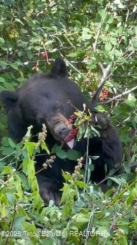 $12,900,000 | 2945 Hunt Lane, Wilson, WY 83014