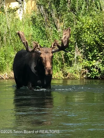 $12,900,000 | 2945 Hunt Lane, Wilson, WY 83014