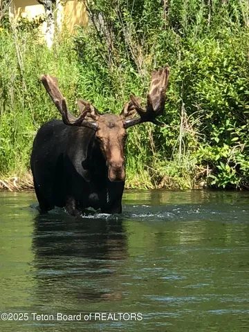 $12,900,000 | 2945 Hunt Lane, Wilson, WY 83014