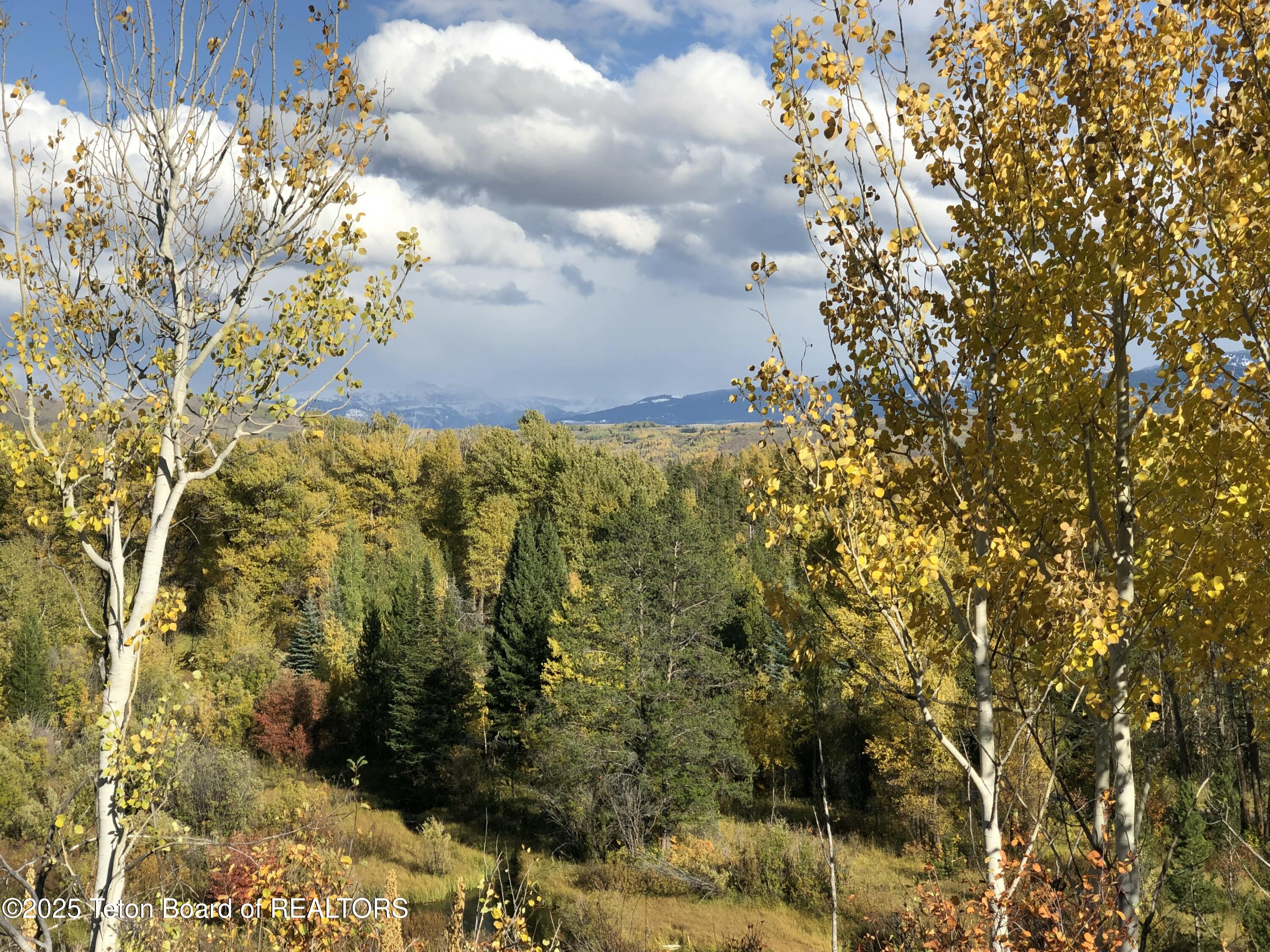 2945 Hunt Lane Wilson, WY 83014 - Photo 46 of 79 Fall Foliage