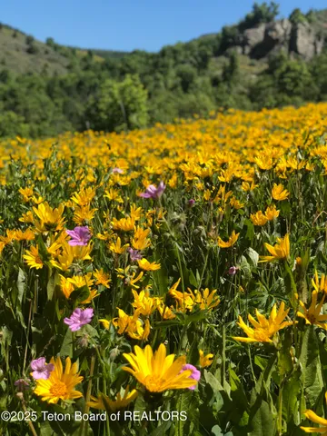 $12,900,000 | 2945 Hunt Lane, Wilson, WY 83014