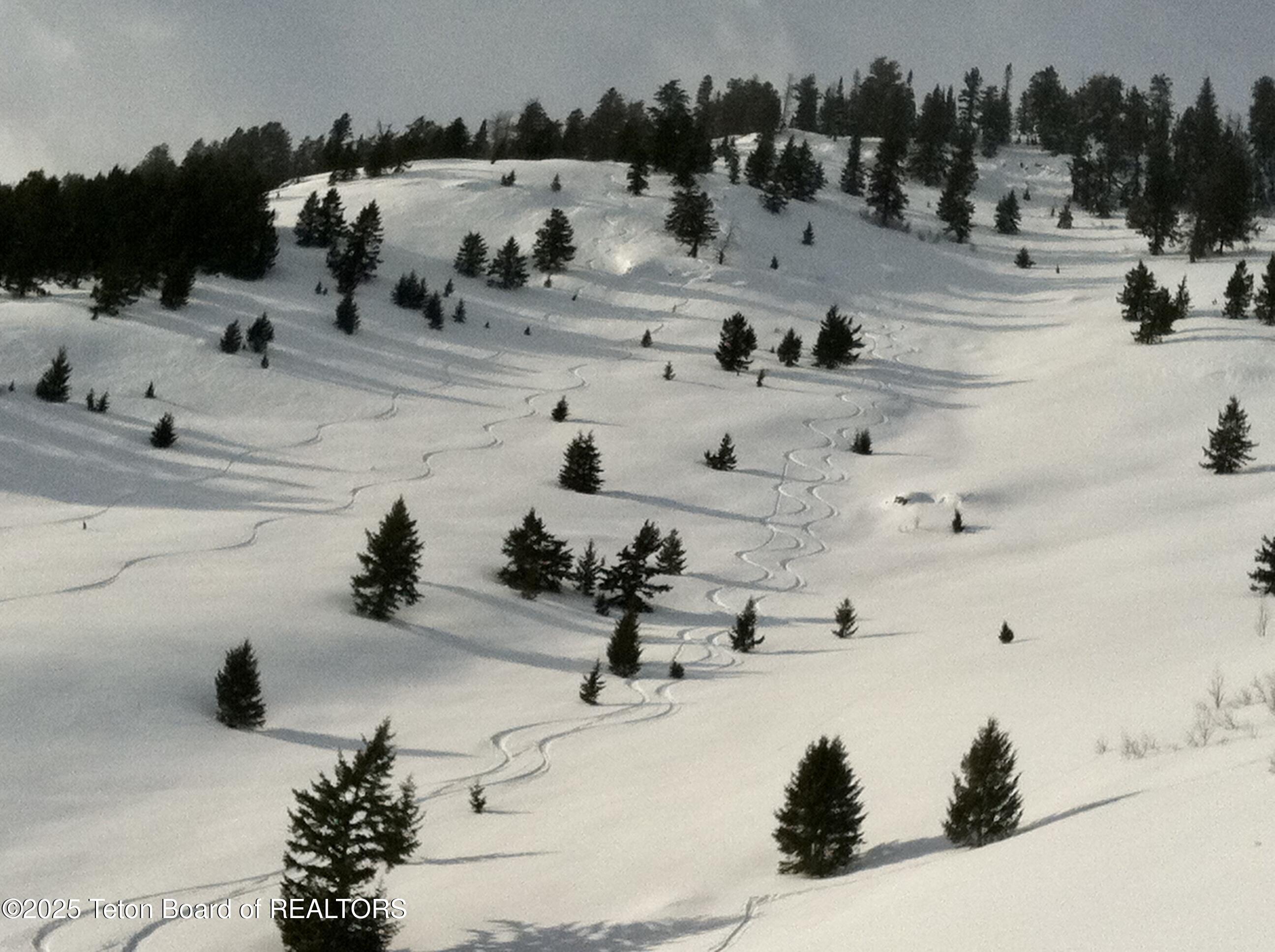 2945 Hunt Lane Wilson, WY 83014 - Photo 68 of 79 NFS Powder Turns