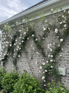 $1,689,000 | 4684 Majestic Mdws Drive, Arrington, TN 37014