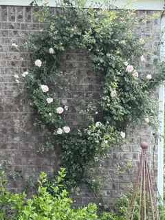 $1,689,000 | 4684 Majestic Mdws Drive, Arrington, TN 37014