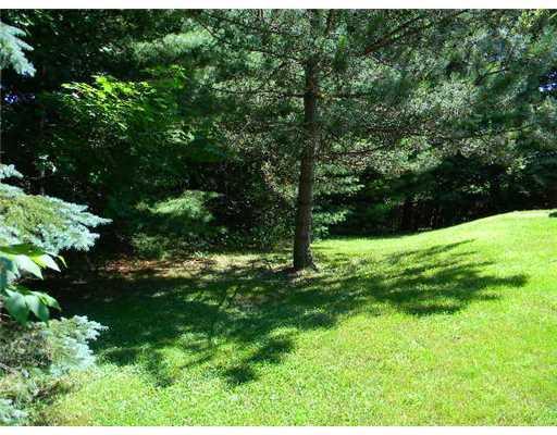 163 Old Greene Road Lewiston, ME 04240 - Photo 4 of 11 Yard/Garden.