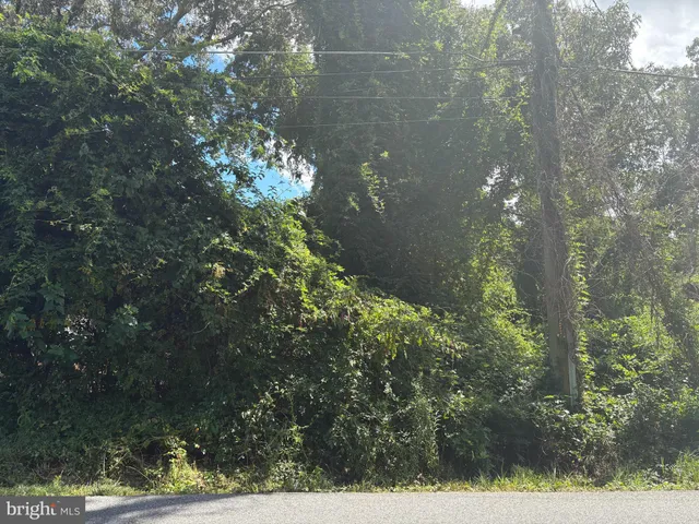a view of a yard from a window