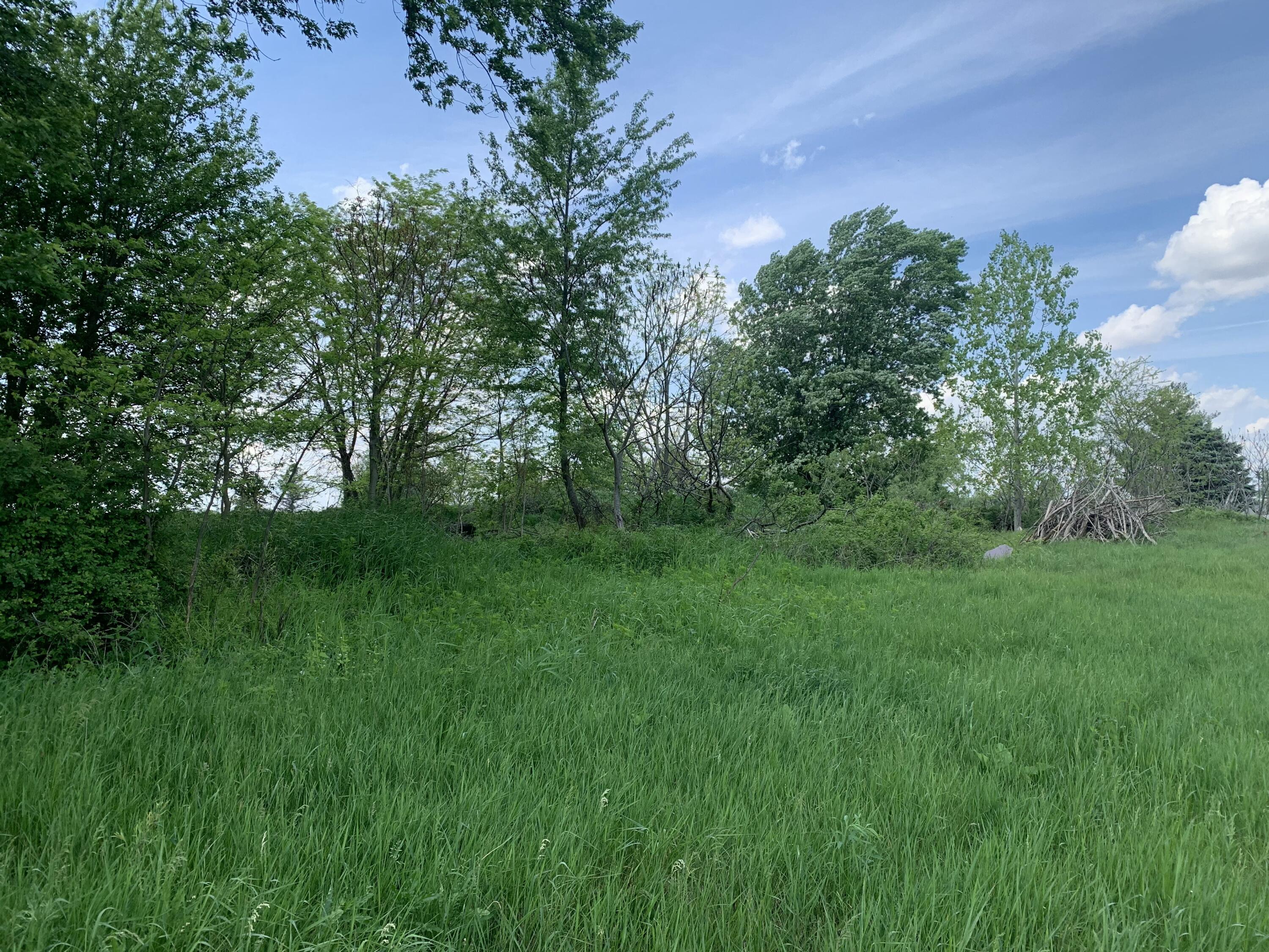 Brink Road Bronson, MI 49028 - Photo 2 of 6 E31D30ED-149E-41F7-B49A-8B2161634BB8