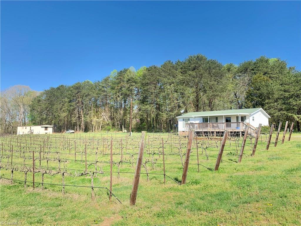 103 Buck Fork Road Dobson, NC 27017 - Photo 16 of 30 Gallery Image 16