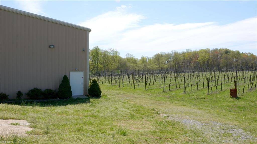 103 Buck Fork Road Dobson, NC 27017 - Photo 24 of 30 Gallery Image 24