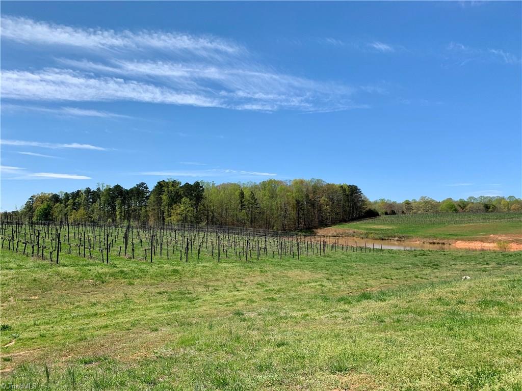 103 Buck Fork Road Dobson, NC 27017 - Photo 25 of 30 Gallery Image 25