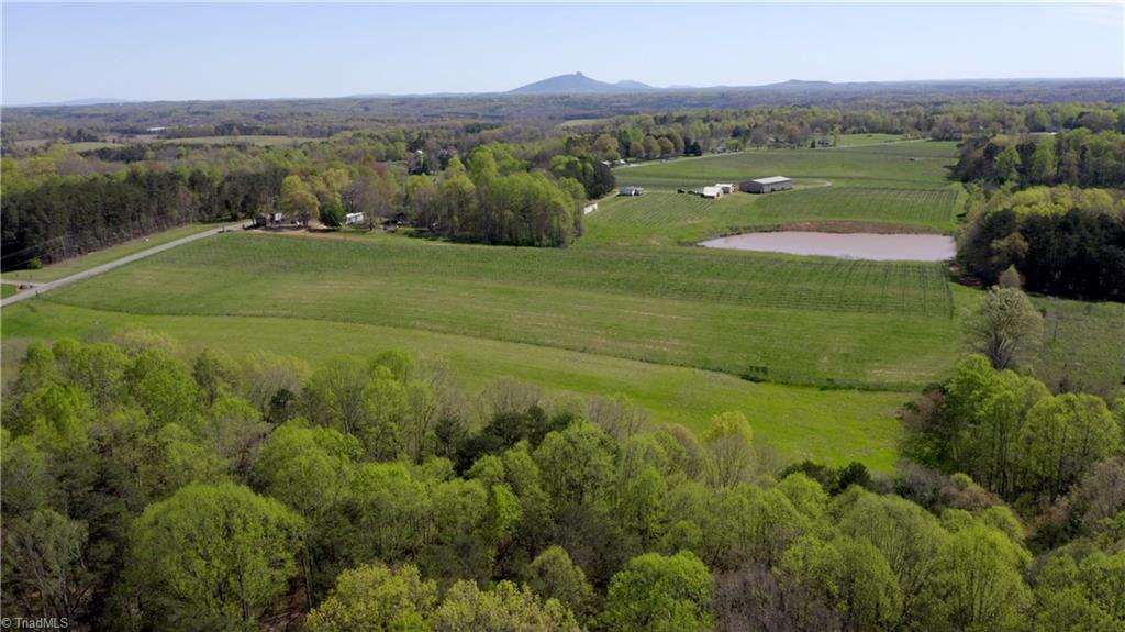 103 Buck Fork Road Dobson, NC 27017 - Photo 10 of 30 Gallery Image 10