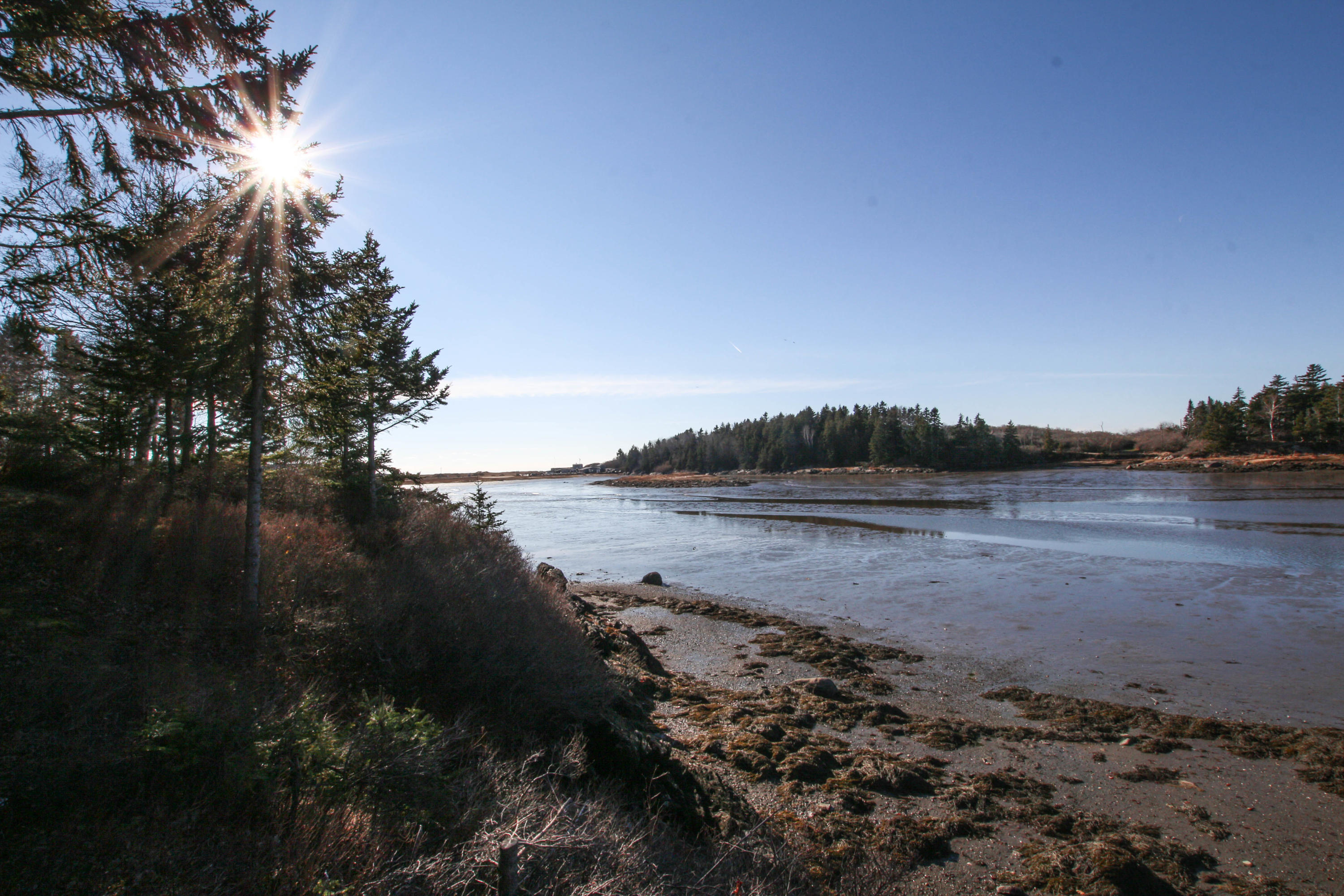64 Branch Road Phippsburg, ME 04562 - Photo 1 of 34 IMG_7961