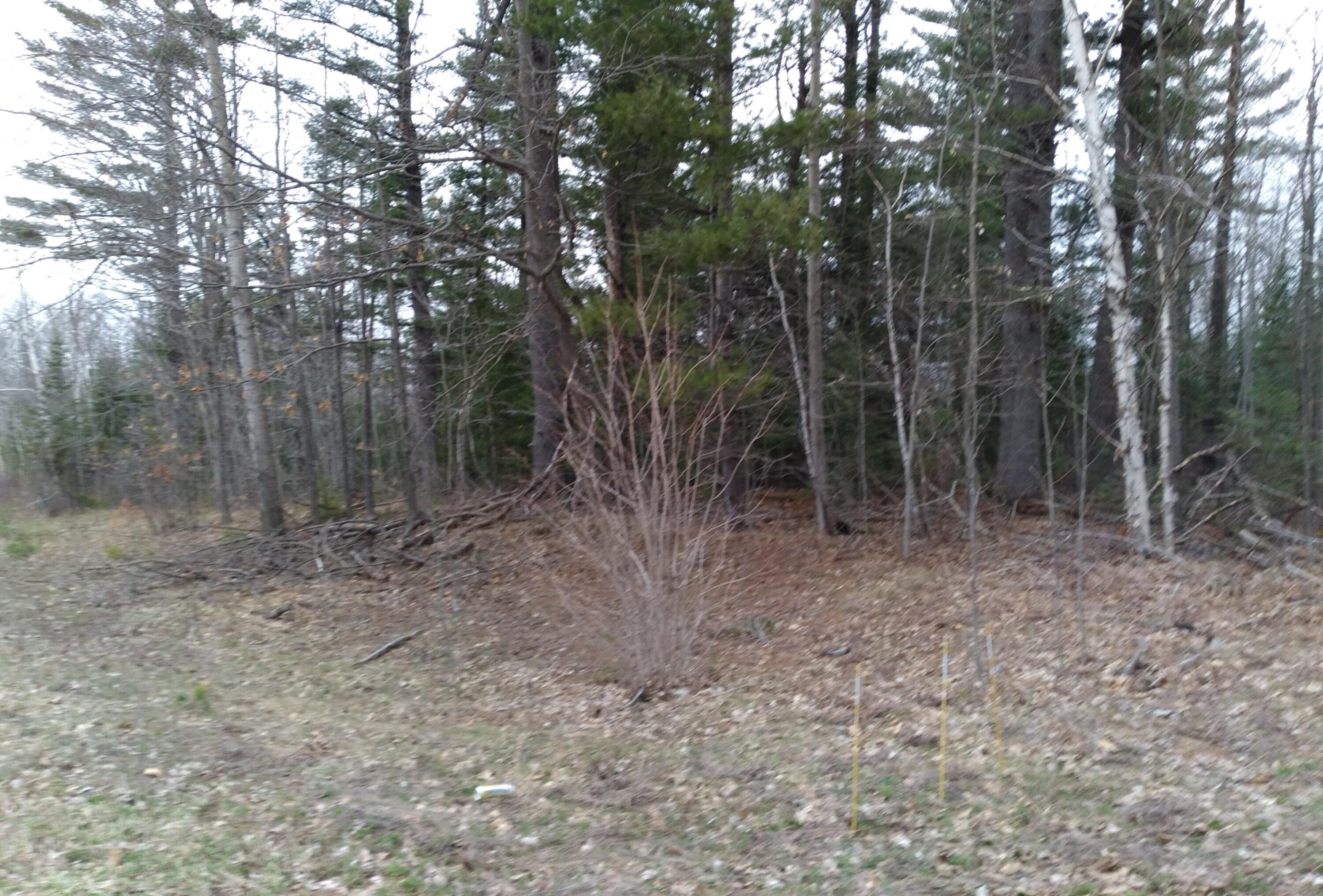 0 East Gogomain Road Pickford, MI 49774 - Photo 14 of 17 Gallery Image 14
